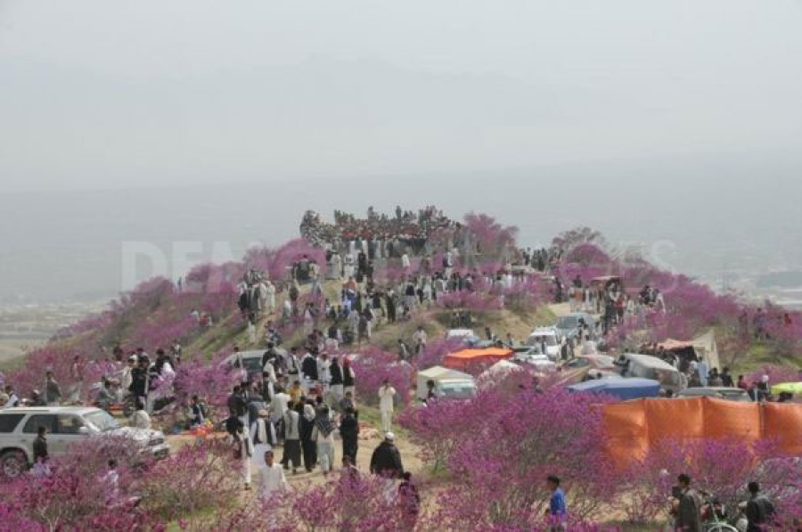 سال نو مبارک   Ελάτε να γιορτάσουμε μαζί το Nawruz!