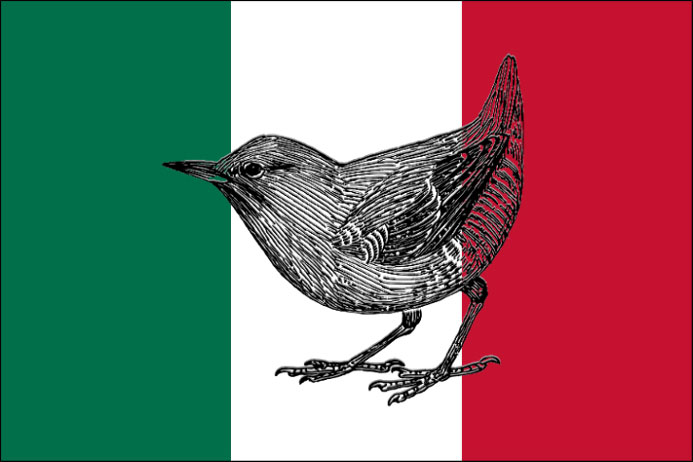 “Αποδημητικά Πουλιά” στα ιταλικά | “Ucelli Migratori” in italiano | “Migratory Birds” in Italian