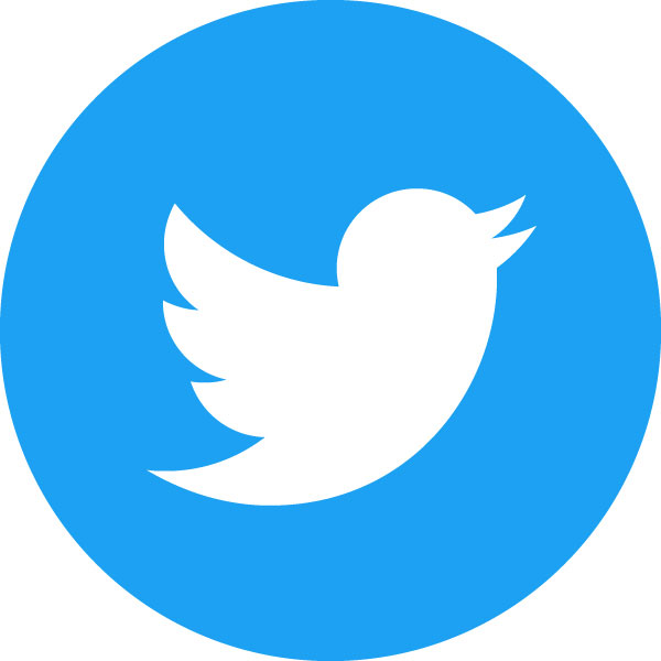 Twitter-Social-Icon | Δίκτυο για τα Δικαιώματα του Παιδιού - Network for  Children's Rights